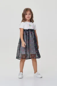 Choupette Organza Embroidred Combined Dress international brand